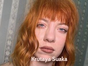 Krutaya_Suaka