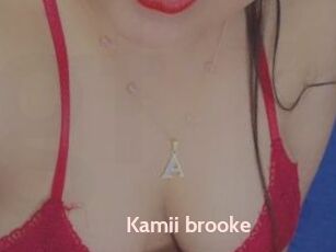 Kamii_brooke