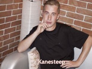 Kanesteep