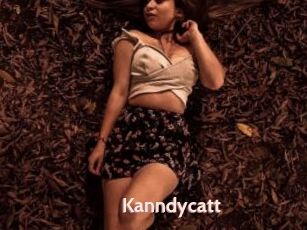 Kanndycatt