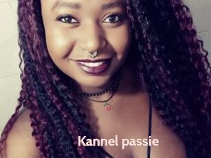 Kannel_passie