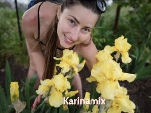 Karinamix