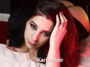 Karinanoir