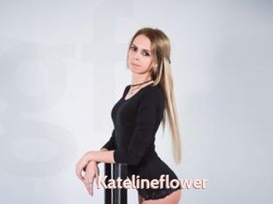 Katelineflower