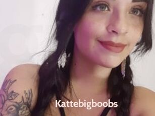 Kattebigboobs