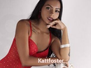 Kattfoster