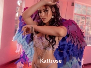 Kattrose