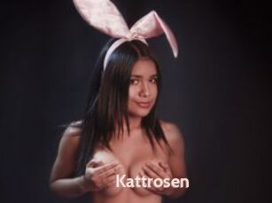 Kattrosen