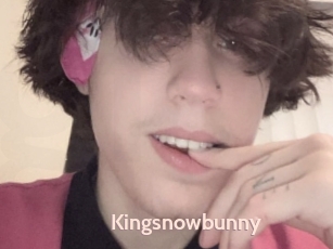 Kingsnowbunny