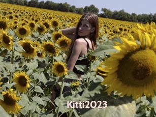 Kitti2023