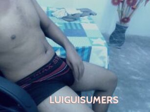 LUIGUISUMERS