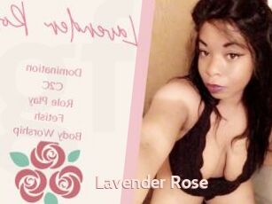 Lavender_Rose