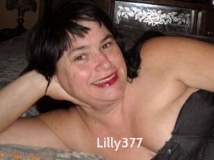 Lilly377