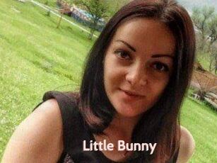 Little_Bunny_