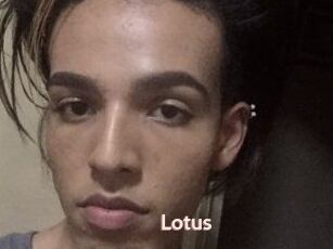 Lotus