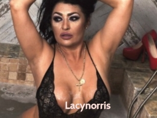 Lacynorris