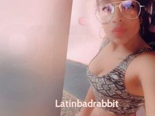 Latinbadrabbit