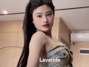 Lavende