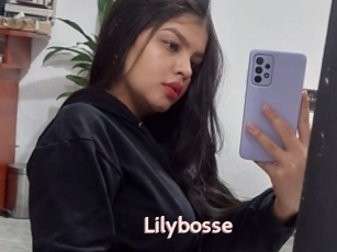 Lilybosse