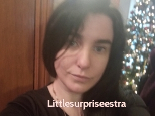 Littlesurpriseestra