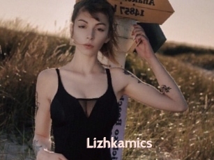 Lizhkamics