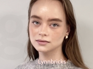 Lynnbricks