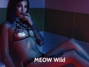 MEOW_Wild