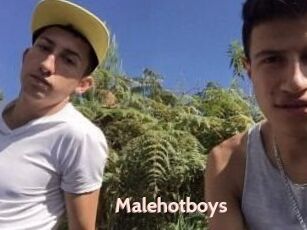 Malehotboys