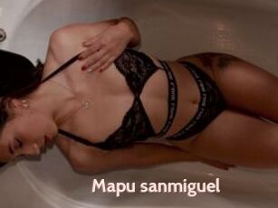 Mapu_sanmiguel