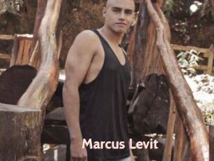 Marcus_Levit