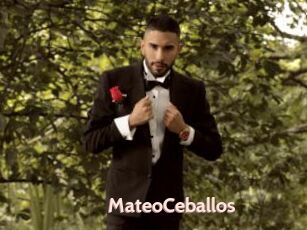 MateoCeballos