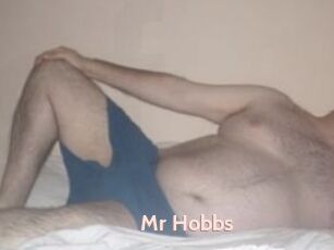 Mr_Hobbs