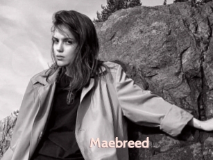 Maebreed