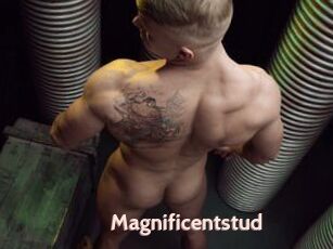 Magnificentstud