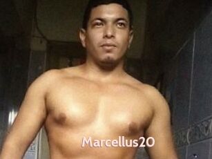 Marcellus20