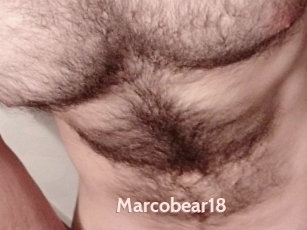 Marcobear18