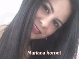 Mariana_hornet