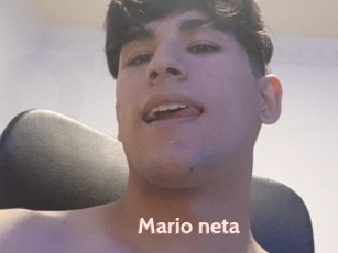 Mario_neta