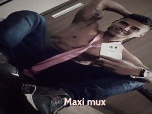 Maxi_mux