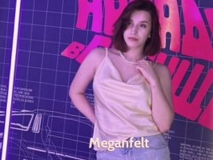 Meganfelt