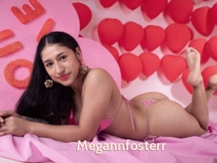 Megannfosterr