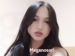 Meganosori
