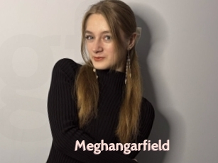 Meghangarfield