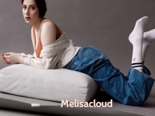 Melisacloud