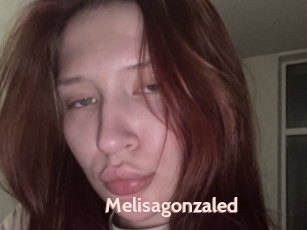 Melisagonzaled