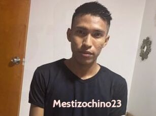 Mestizochino23