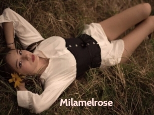 Milamelrose