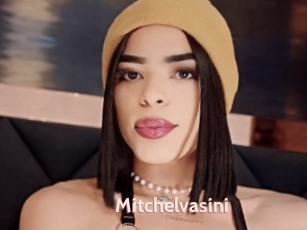 Mitchelvasini