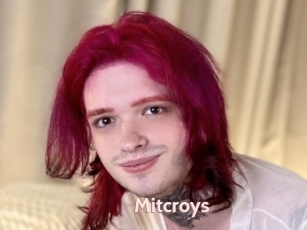 Mitcroys