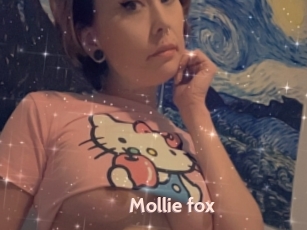 Mollie_fox